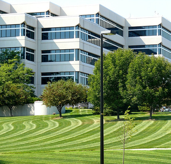 commerciallawn.jpg
