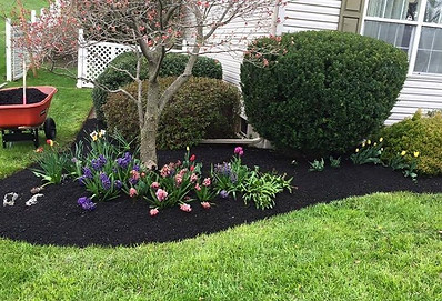 a-brand-new-leaf-landscaping-mulch-services-feature-main-img_orig - Copy.jpg