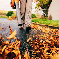 leaf-removal-belleville-il - Copy.jpeg