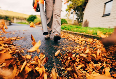 leaf-removal-belleville-il - Copy.jpeg