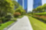 Commercial-Landscaping-in-South-Miami.webp