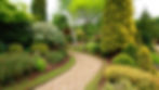 Little Rock lawn.jpg