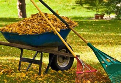 Fall Clean up.jpg