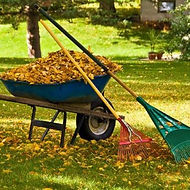 Fall Clean up.jpg